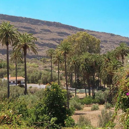 El Olivar La Molienda
