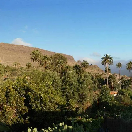 Kır Evi El Olivar - La Molienda Santa Lucia